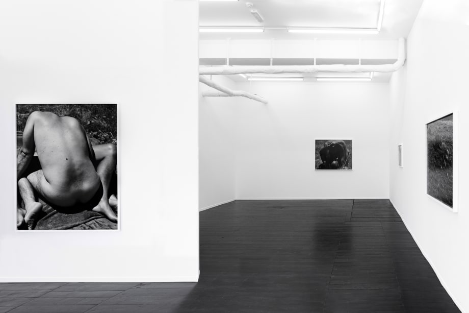 MARK ARMIJO MCKNIGHT, Kiss of the Sun