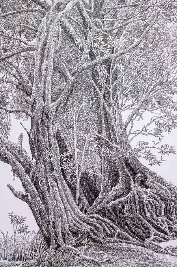 Beneath The Canopy, Karunasiri Wijesinghe