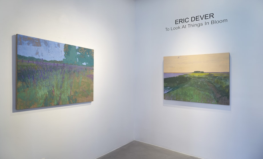 Eric Dever, To Look at Things in Bloom