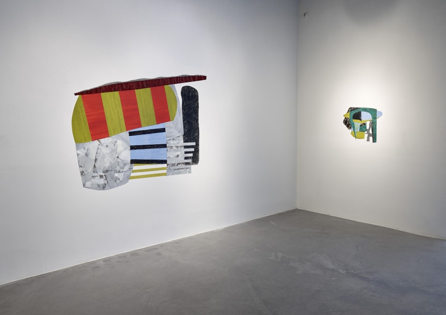 Nanette Carter, Shape Shifting