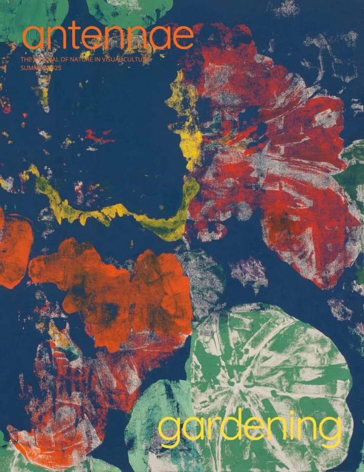 Eric Dever: To see through the garden | ISSUE 67 — SUMMER 2025