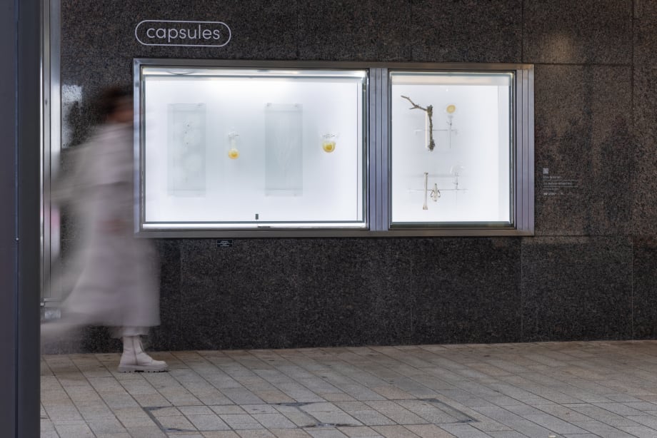 The Heavenly Wooded Area