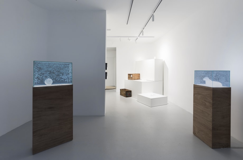 1900-2025: breath of light, Aiko MIYANAGA