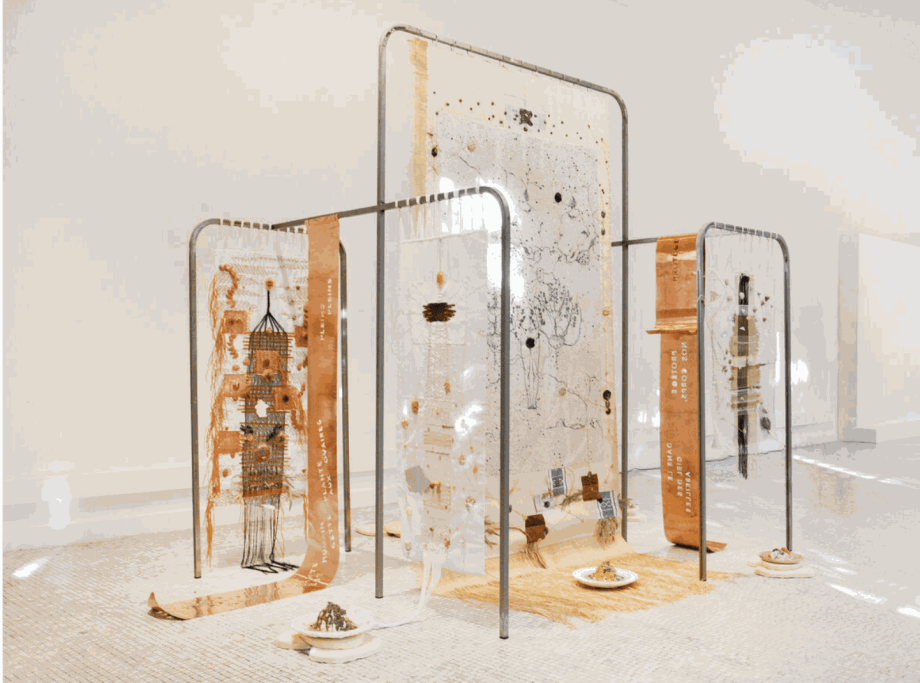 The Entangled Microcosm of Marie-Claire Messouma Manlanbien