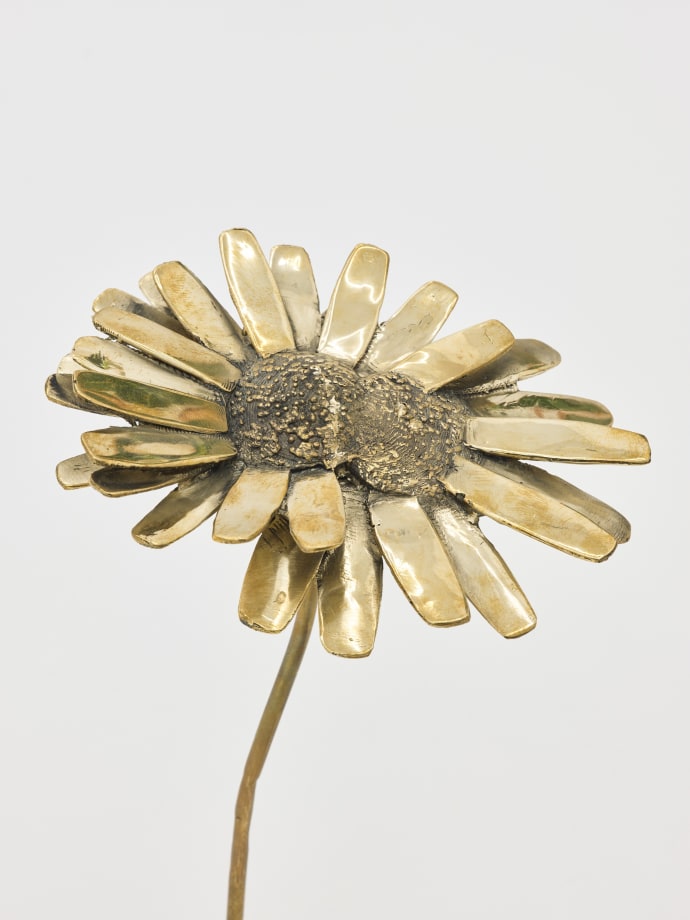 Daisyworld, Nona Inescu