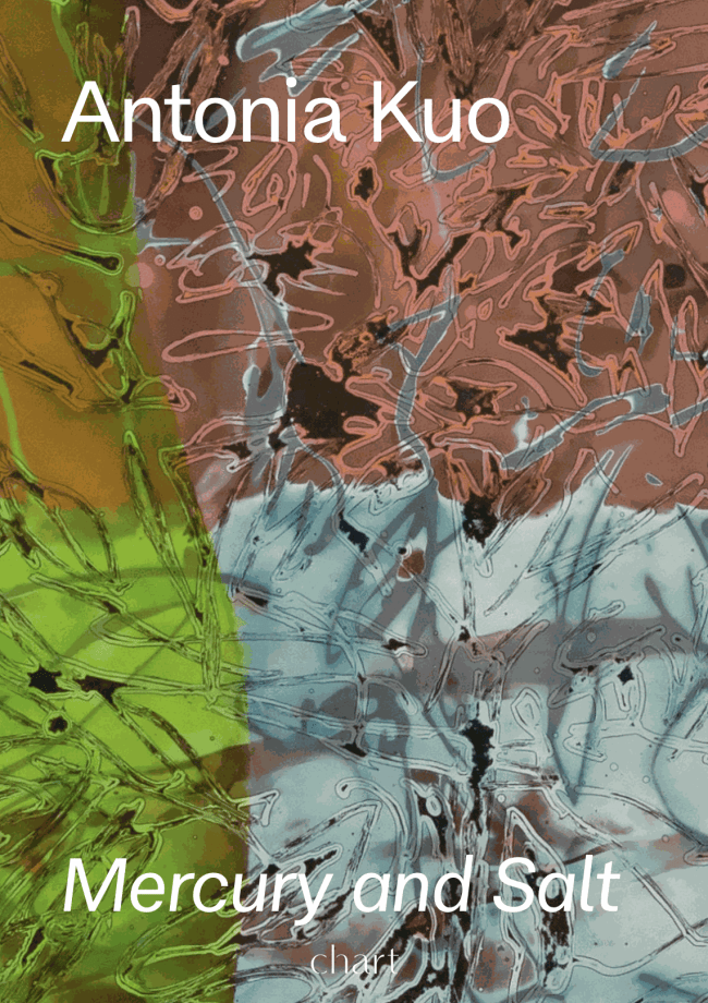 Antonia Kuo, Mercury and Salt | FEB 2 - MAR 12, 2022 | ONLINE CATALOGUE