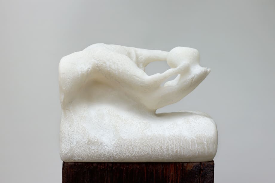 Malia Jensen in Field Notes: Artists Observe Nature