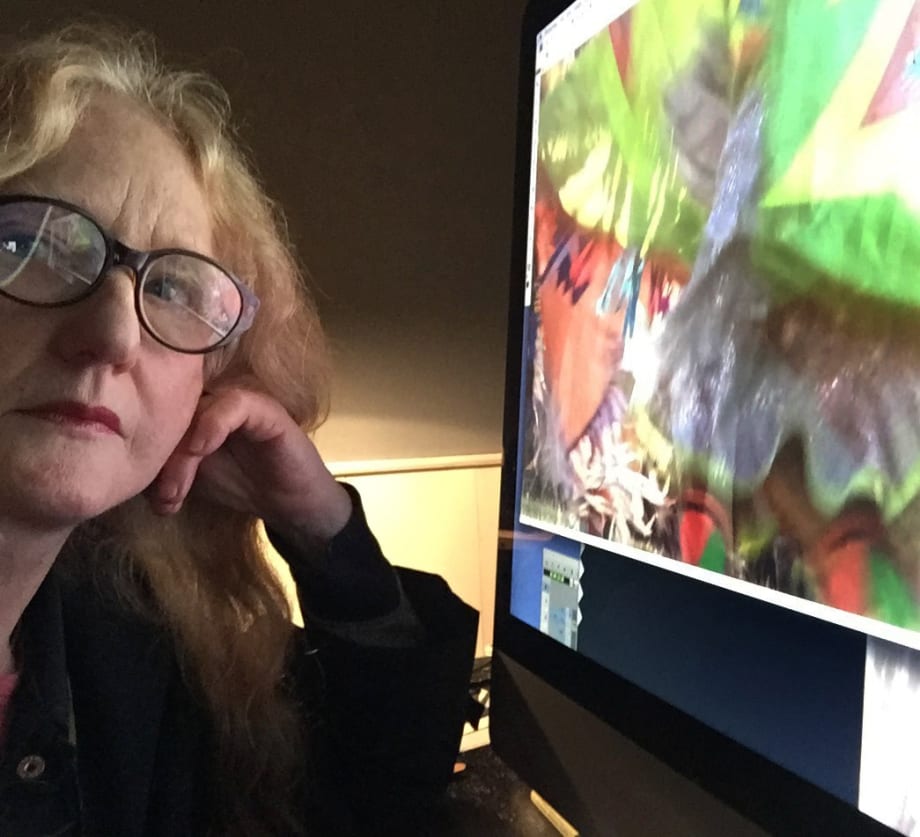 Mary Lucier: Women Artists in New Media