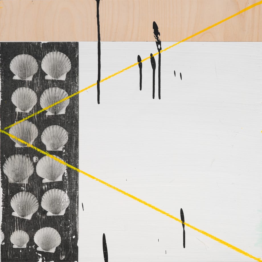 Sara Siestreem (Hanis Coos) Artist Talk | Regeneration: Long Island’s History of Ecological Art and Care