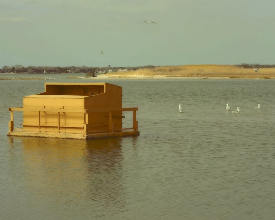 peter campus: when the hurly burly's done