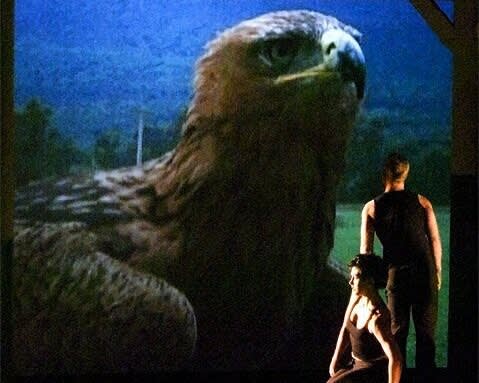 A Horse and Dancers in an Ode to Interspecies Ties, By Jennifer Dunning, The New York Times