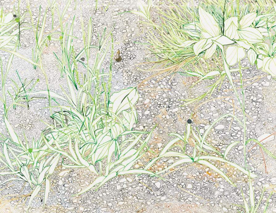 Mixed Media: Terrible Beauty, By Lauran Maynard, At Buffalo