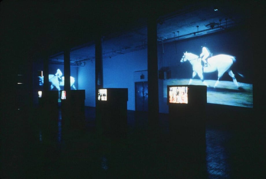 Janet Biggs, Girls and Horses, By Howard Halle, Time Out New York