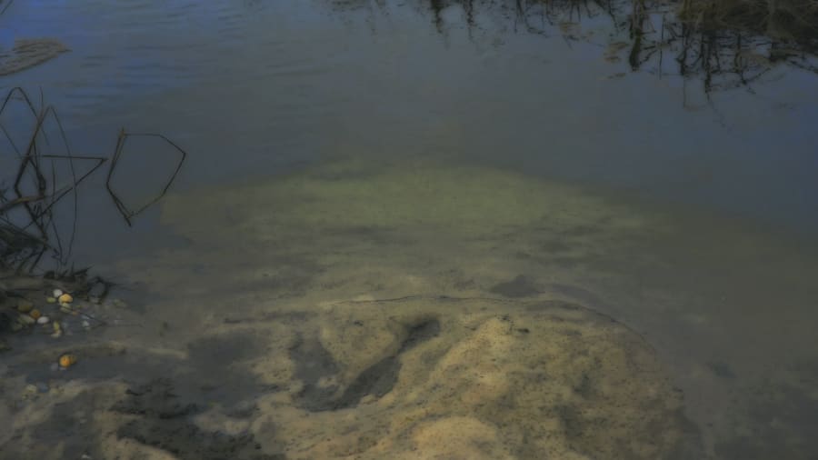 On Your Radar | A Respite from the Winter Chills, By Anandita Agarwal, The Hoya