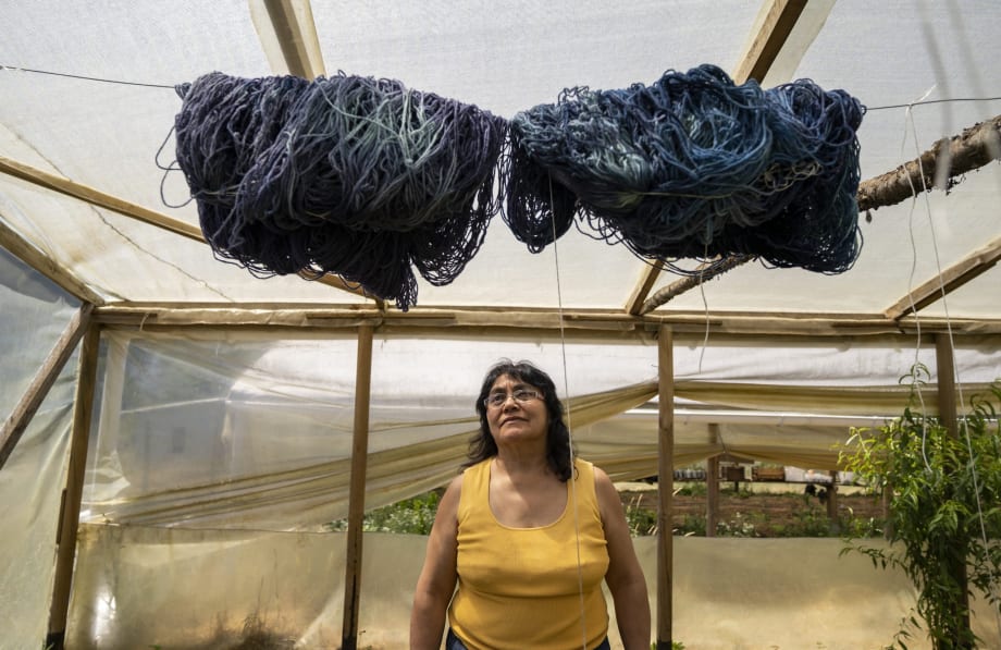 Exposición “Teoría para una Nueva Geografía” en Panguipulli, Cultura, El Mostrador