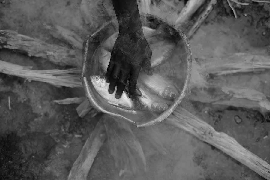 VOLTA 9: New York 2016, Mario Macilau: Growing in Darkness