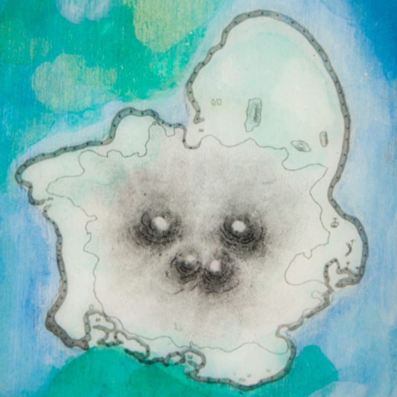 Shiraz Bayjoo at McMullen Museum of Art