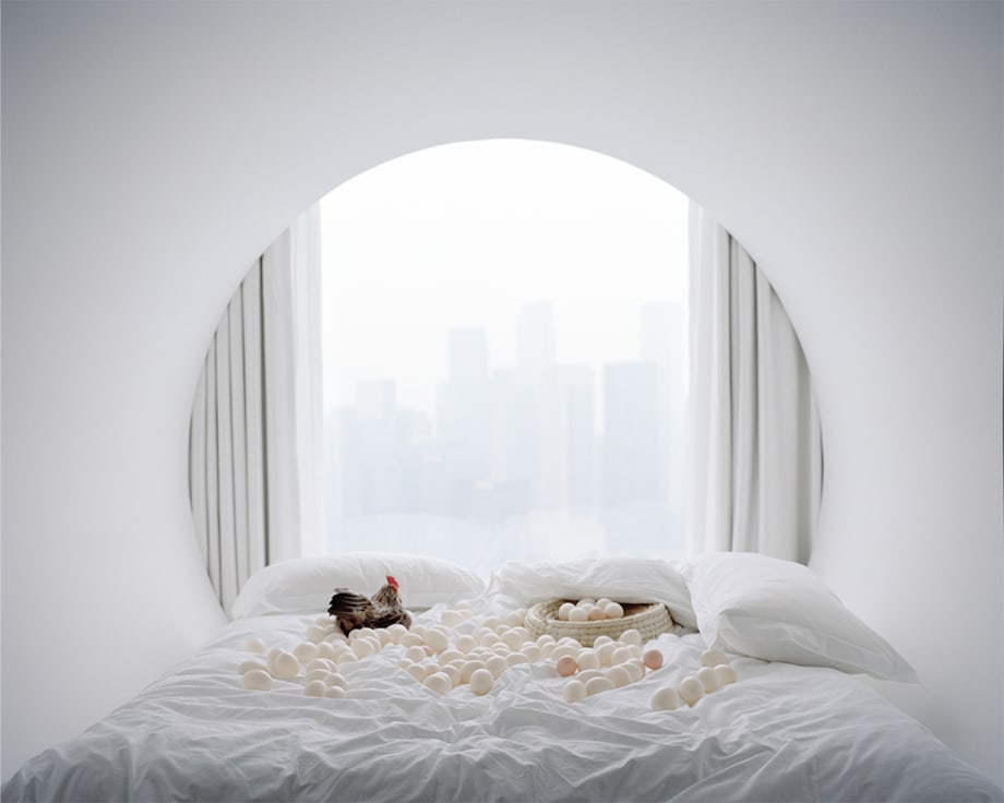 Sine (Xuan) Zheng, Window, 2020