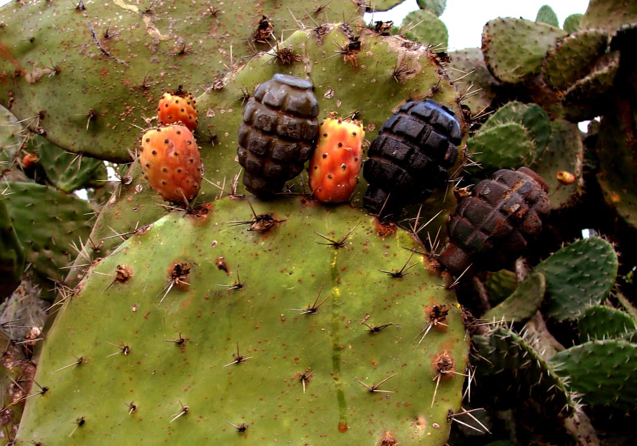 Printed Matter, El3attar Film Collective, Cynthia Zahar, Georges Yammine, and Mohammad Al Hawajri with musical commission by Aoun