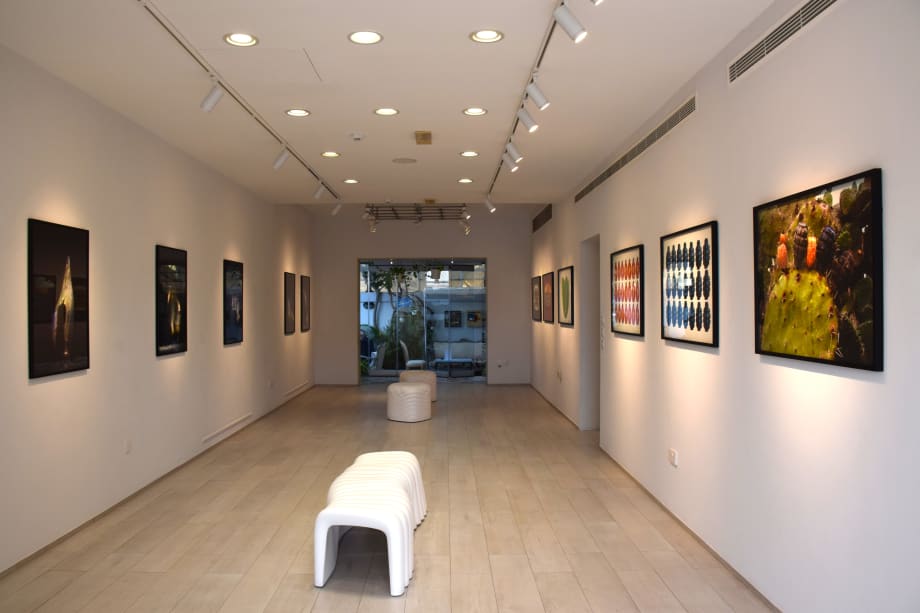 Printed Matter, El3attar Film Collective, Cynthia Zahar, Georges Yammine, and Mohammad Al Hawajri with musical commission by Aoun