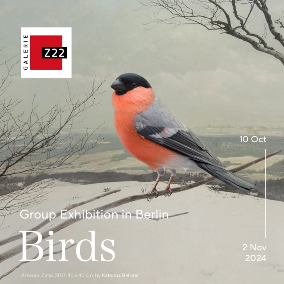 Birds – Von schrägen und anderen Vögeln, Galerie Z22