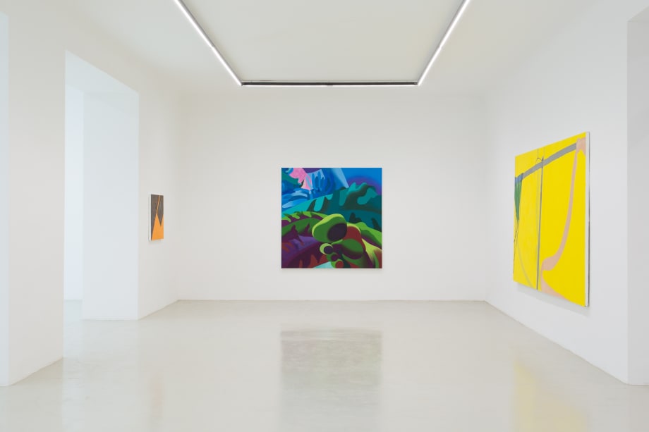 Installation view: The Picture is a forest, Galerie Kandlhofer, 2019