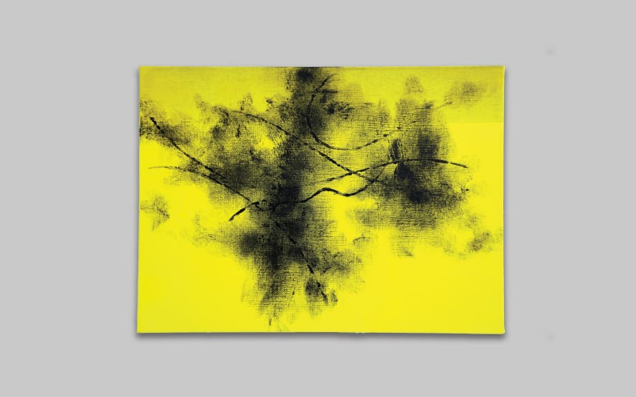 Vecchio Pino (giallo), 2016, cm 33,3 x 45,5