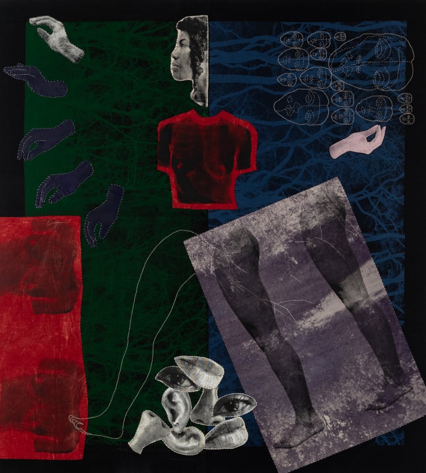 Zohra Opoku , I Have Arisen...