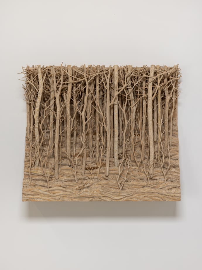 Eva Jospin, Petit Bois, 2024. Courtesy of the artist and Mariane Ibrahim.