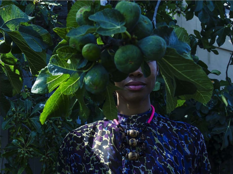 Zohra Opoku, Ficus Carica, 2015. Courtesy of Mariane Ibrahim.