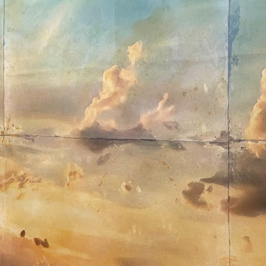 Doug and Mike Starn | Under the Sky