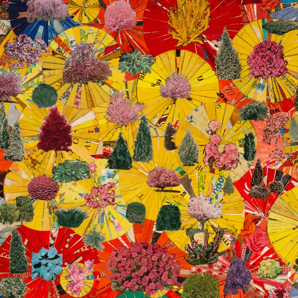 Lance Letscher | Tenuous Logic