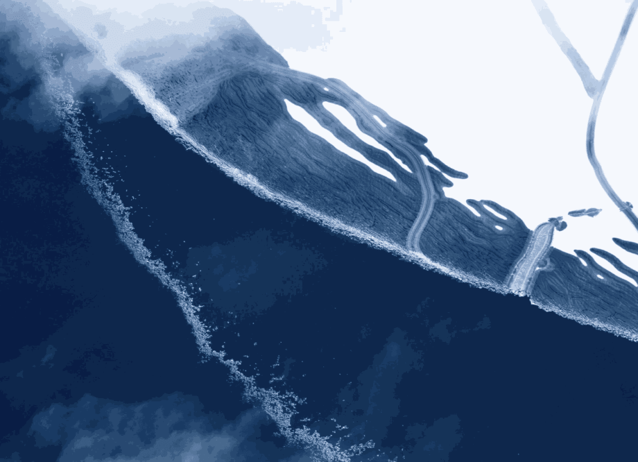 Tuck Fauntleroy | Elements