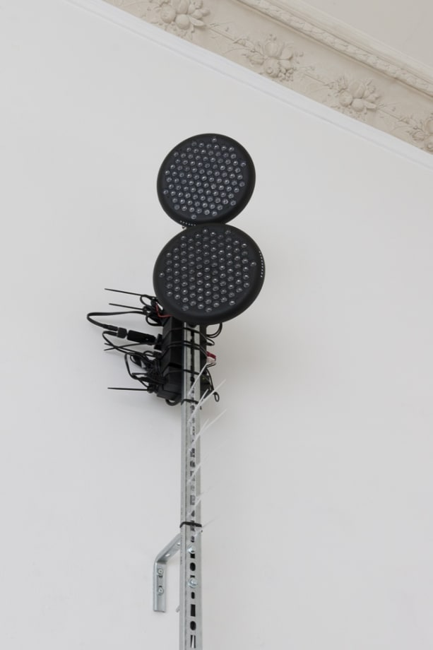 Ignas Krunglevičius, PRIVAT SYNTAX VIRUS