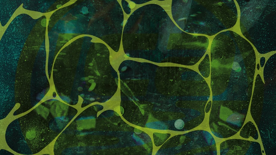 Neringa Vasiliauskaitė & Antonia Low: Past Pavilion