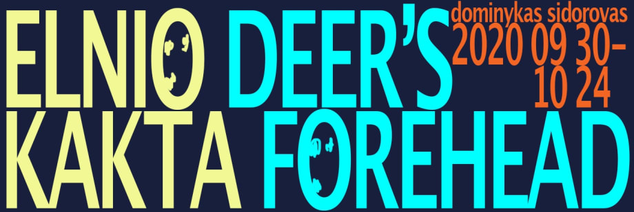 Dominykas Sidorovas's solo exhibition