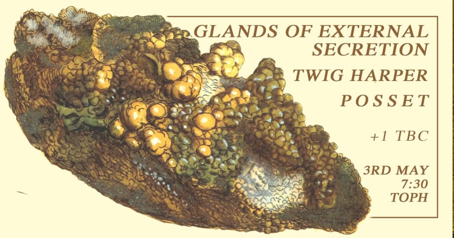 Glands Of External Secretion // Twig Harper // Posset, TOPH@WORKPLACE