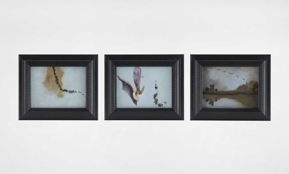 Bat Opera, 2016  oil on canvas paper  frame size, each:  24.1 x 29.2 x 2.2 cm  9 ½ x 11 ½ x ⅞in.