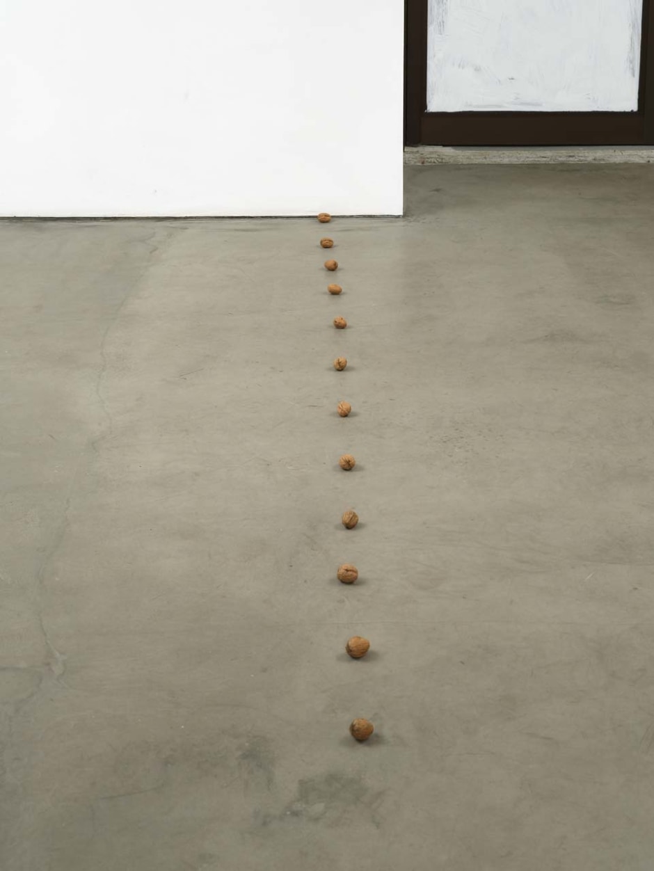 still.life. (twelve walnuts in a line), 2009