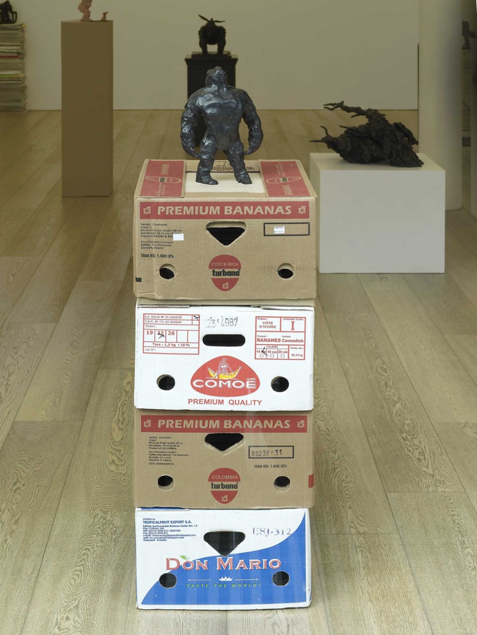 A Couple of Differences between Thinking and Feeling (Ape Looking Towards Heaven), 2002