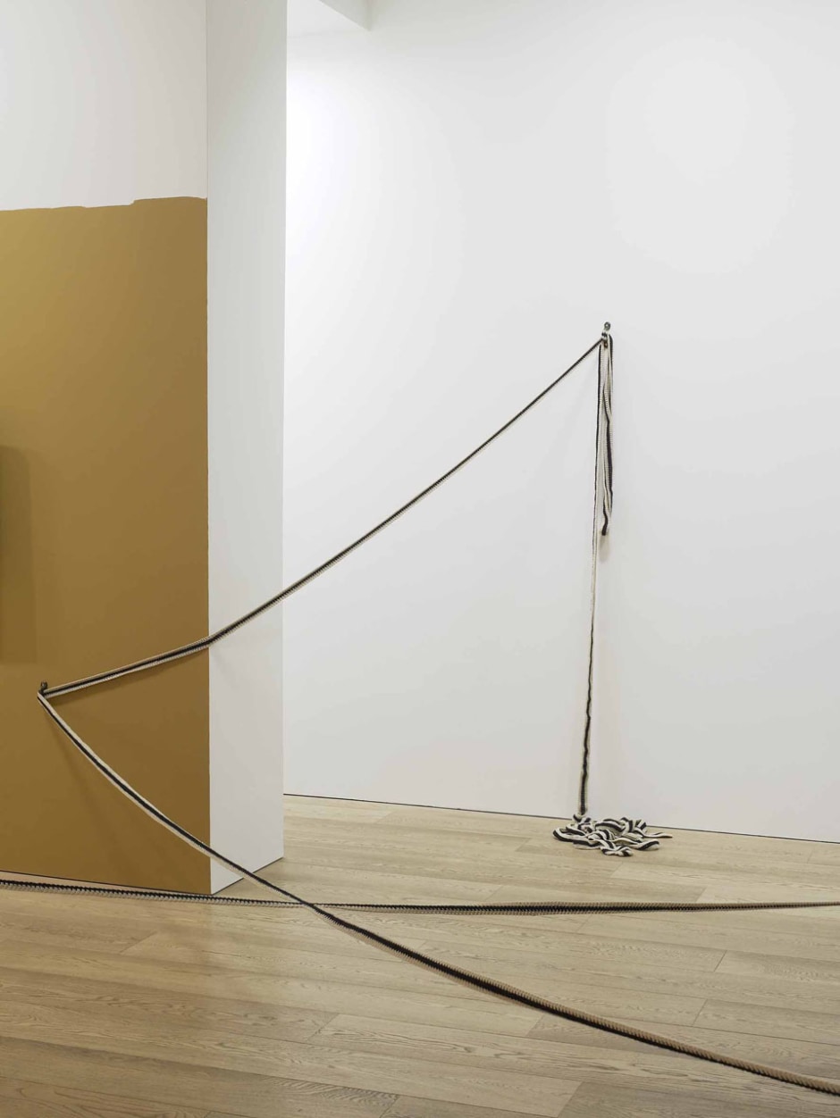 The Bodily Experience of a physical Impracticality, 2010