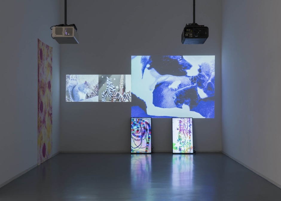 Installation view, Hilary Lloyd, Bonner Kunstverein, Bonn, 22 September – 19 November 2017