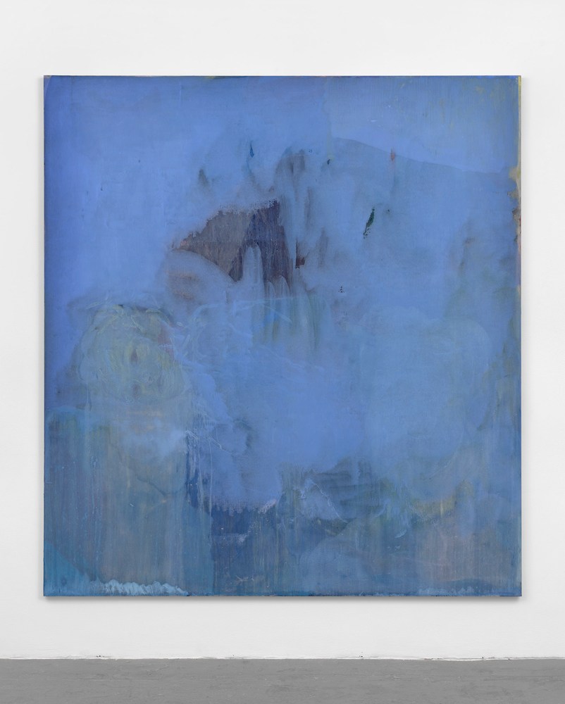 Memory Boy, 2015  oil on canvas  240 x 220 x 4 cm  94 ½ x 86 ⅝ x 1 ⅝ in.
