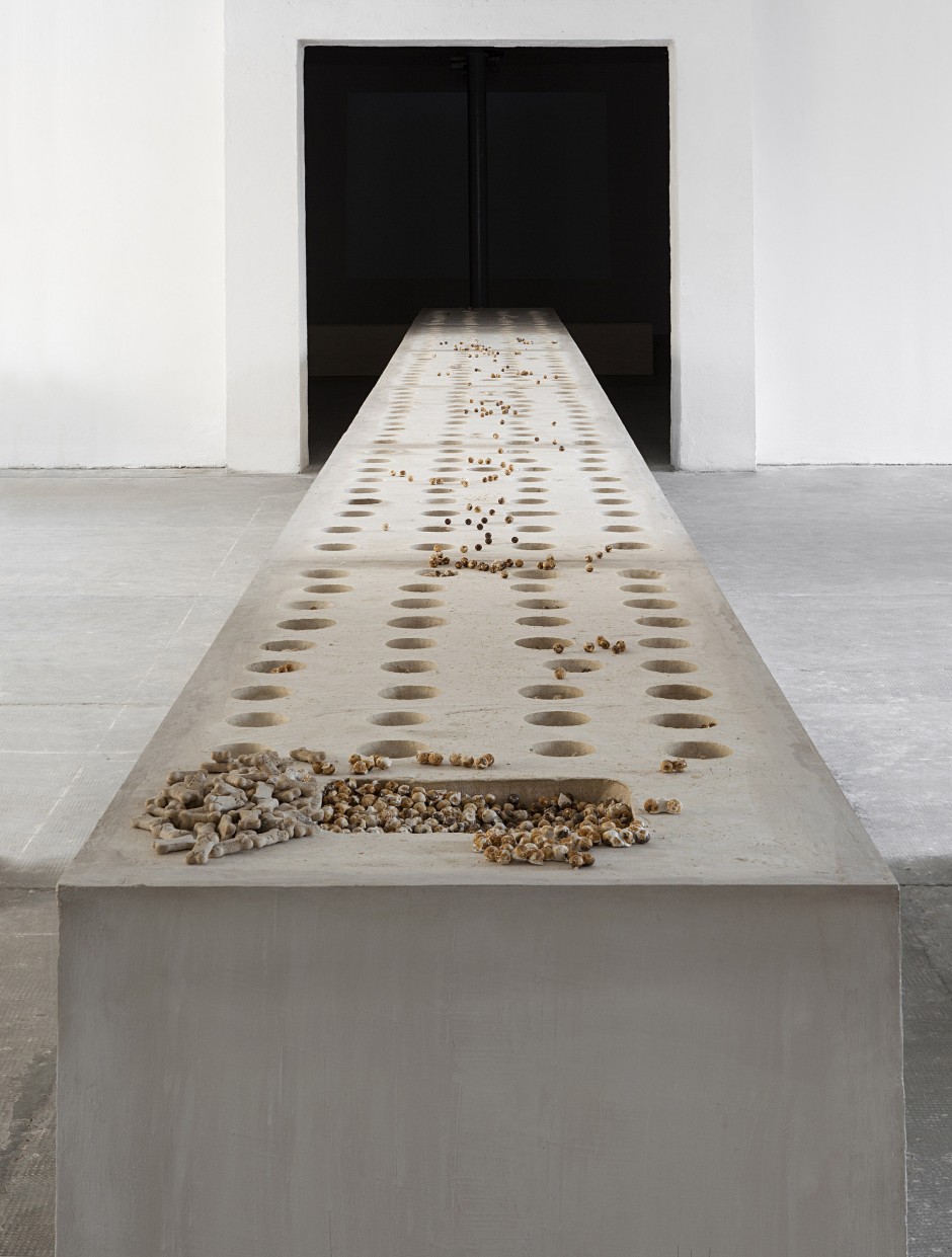 Untitled, 2014  plaster, metal ball bearings, dog biscuits  85.5 x 1200.0 x 77.0 cm 33 5/8 x 472 7/16 x 30 5/16 in.