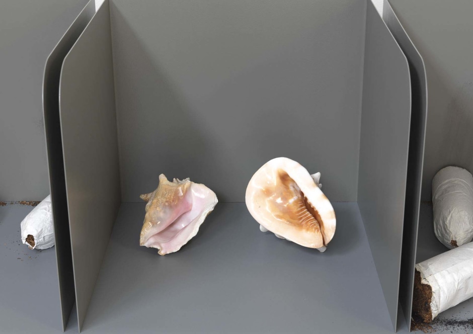 Untitled (Shells and Stubbed-out Cigarettes) (details), 2011