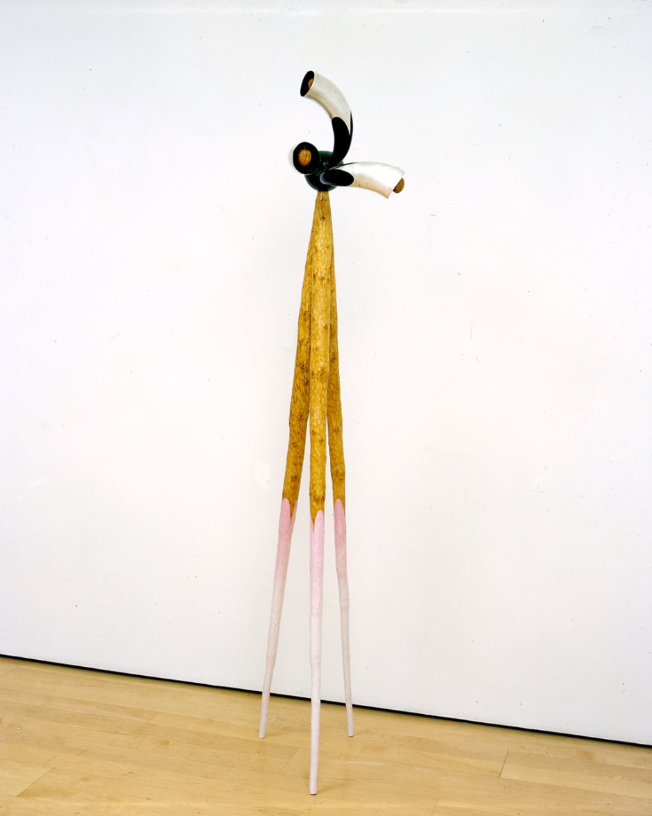 Untitled (buffalo horns), 2005