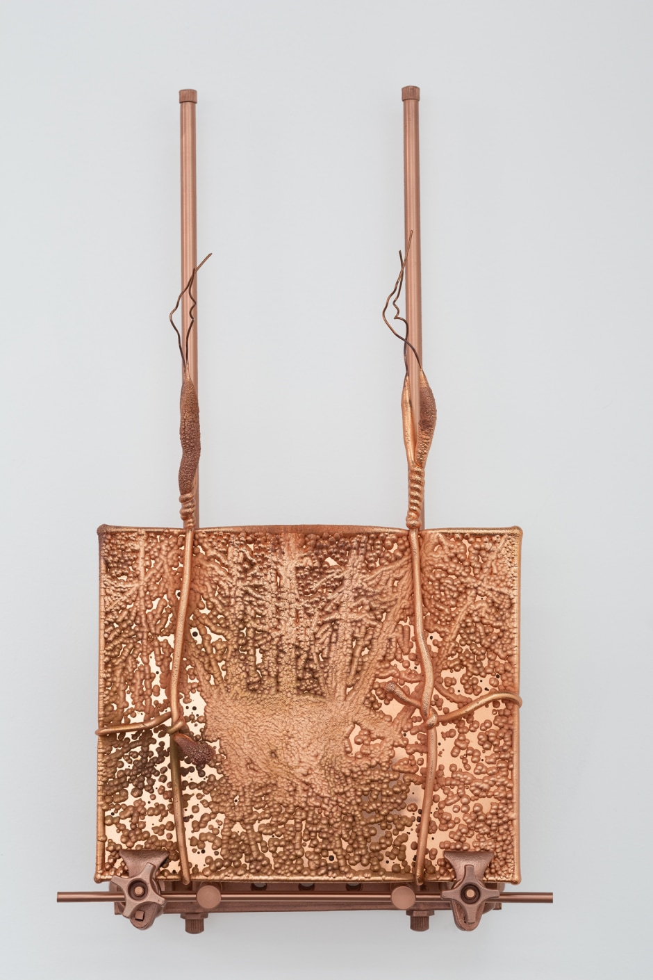 Reintroduction: State five, 2018  electroplated copper plate with cast copper wall mount  66 x 38.1 x 21.6 cm  26 x 15 x 8 ½ in