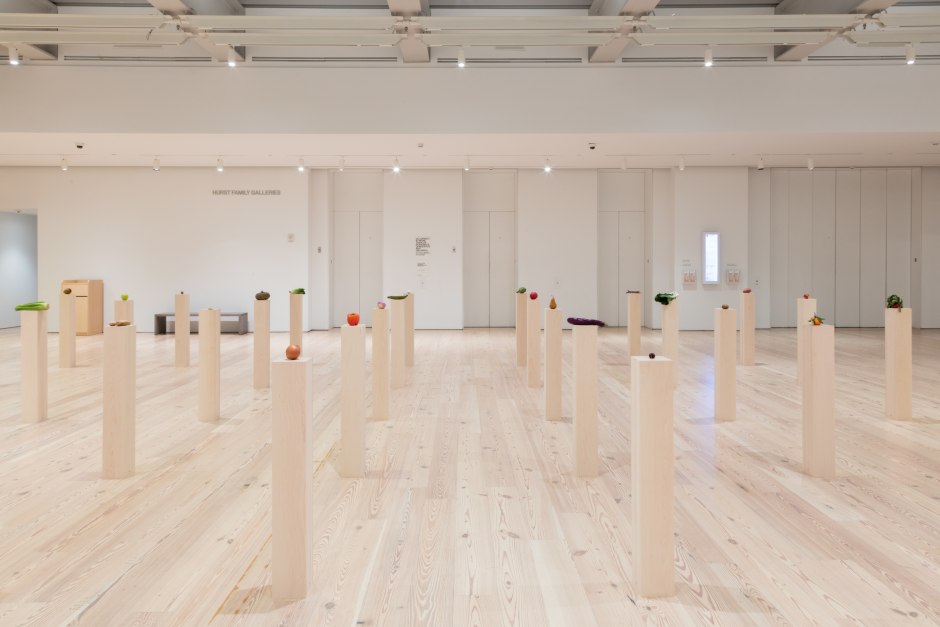 Installation view, Darren Bader, fruits, vegetables, fruit and vegetable salad, Whitney Museum of American Art, New York NY, 15 January – 17 February 2020  © Darren Bader. Courtesy the Artist and Whitney Museum of American Art, New York.