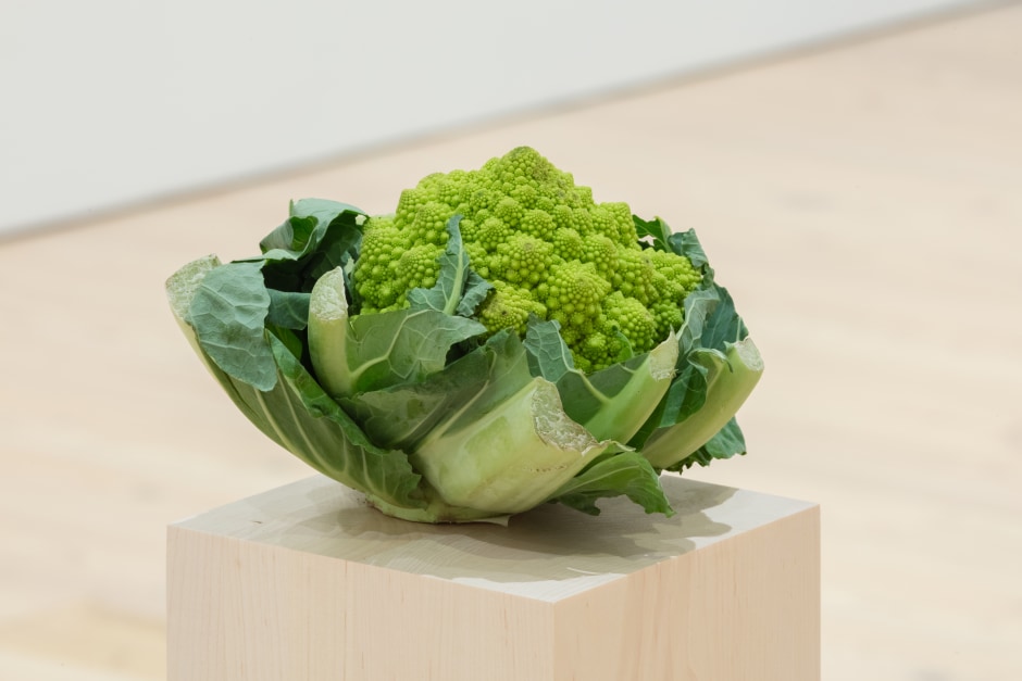 Installation view, Darren Bader, fruits, vegetables, fruit and vegetable salad, Whitney Museum of American Art, New York NY, 15 January – 17 February 2020  © Darren Bader. Courtesy the Artist and Whitney Museum of American Art, New York.