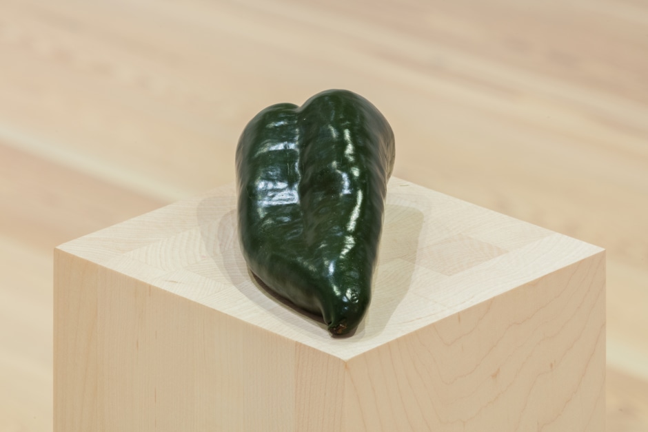 Installation view, Darren Bader, fruits, vegetables, fruit and vegetable salad, Whitney Museum of American Art, New York NY, 15 January – 17 February 2020  © Darren Bader. Courtesy the Artist and Whitney Museum of American Art, New York.